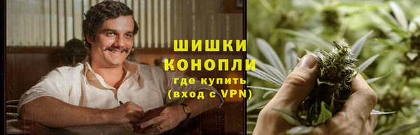 стаф Кукмор