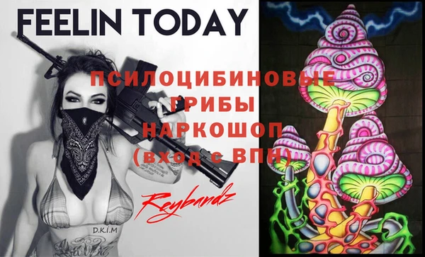 стаф Кукмор