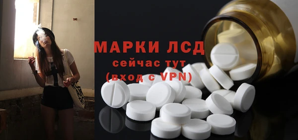 ПСИЛОЦИБИНОВЫЕ ГРИБЫ Корсаков