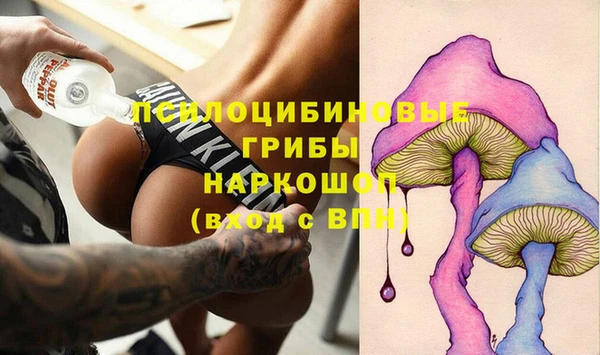 ПСИЛОЦИБИНОВЫЕ ГРИБЫ Корсаков