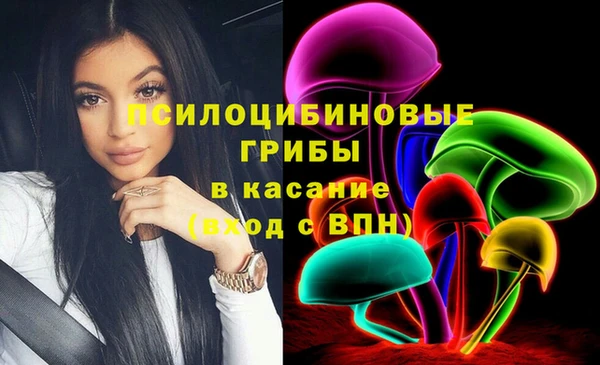 ПСИЛОЦИБИНОВЫЕ ГРИБЫ Корсаков