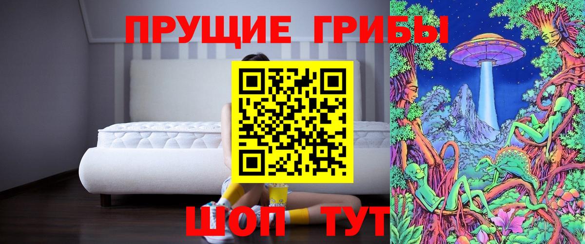 Псилоцибиновые грибы Cubensis  наркотики  Строитель  Вход с VPN 