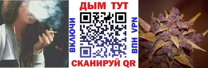 Шишки марихуана Bruce Banner  Строитель 